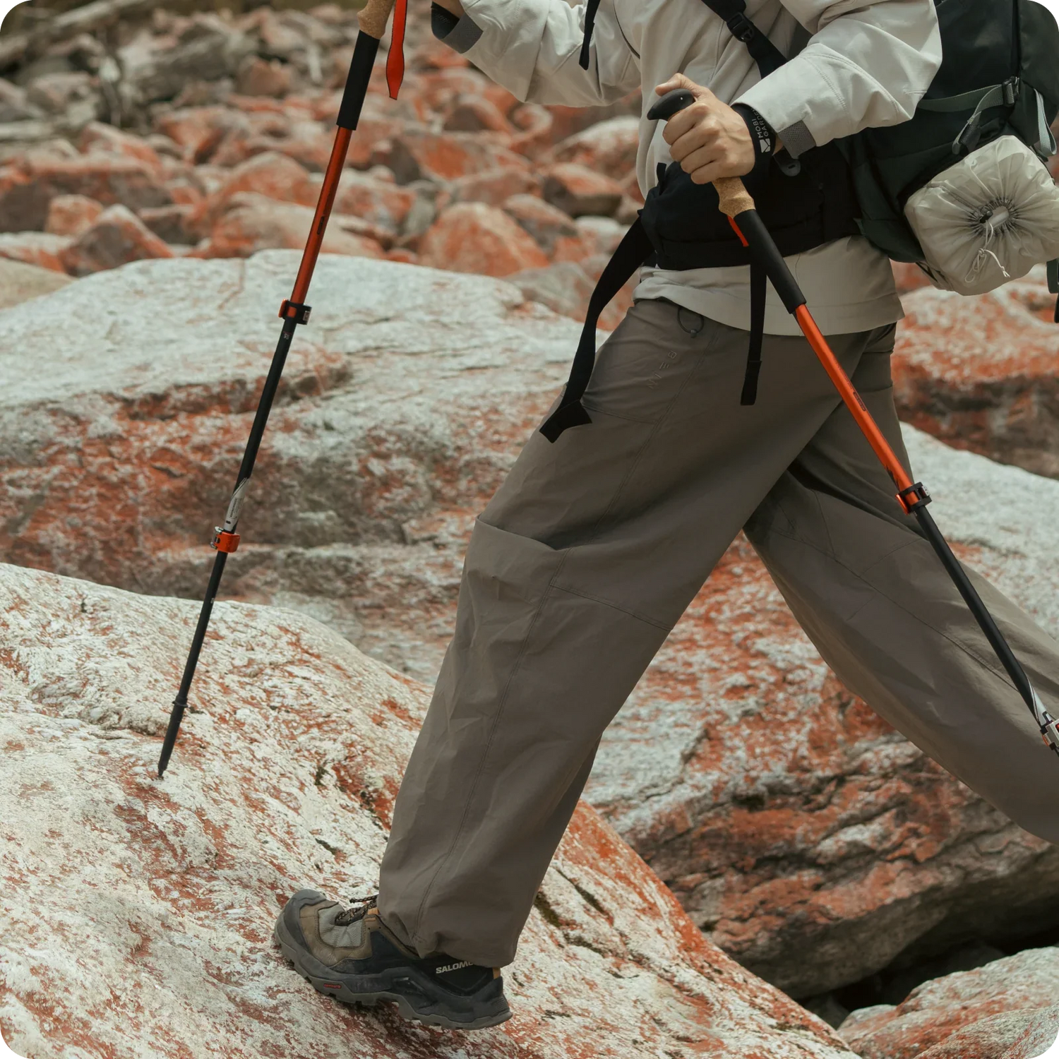 Hiking Poles