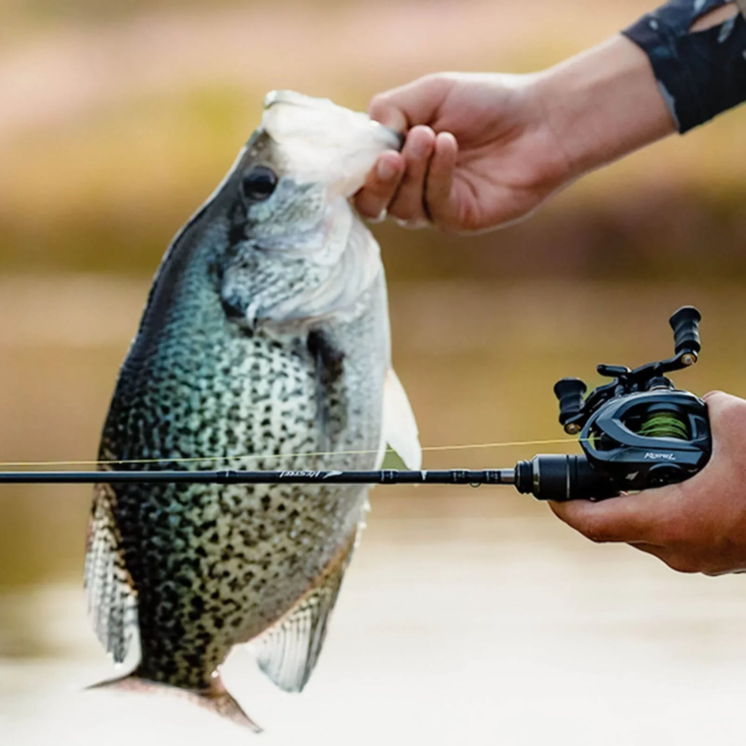 Fishing
